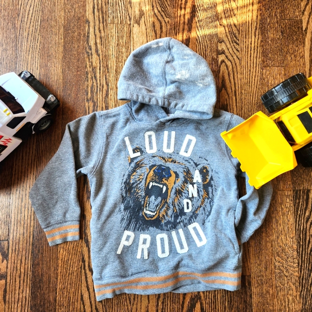 🌟7/25$ GYMBOREE Bear Hoodie